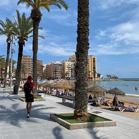 Appartement Torrevieja Alicante Exteriör bild