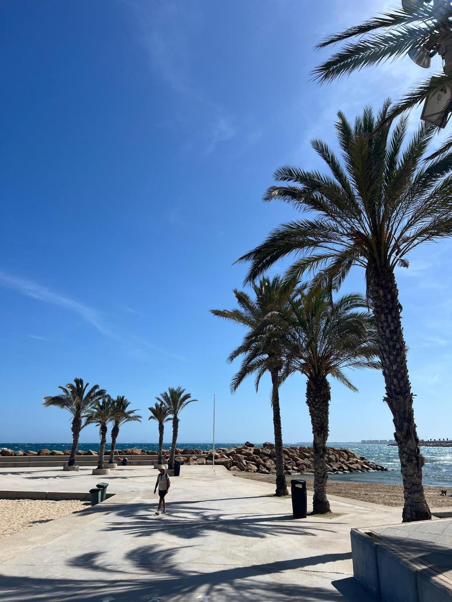 Appartement Torrevieja Alicante Exteriör bild
