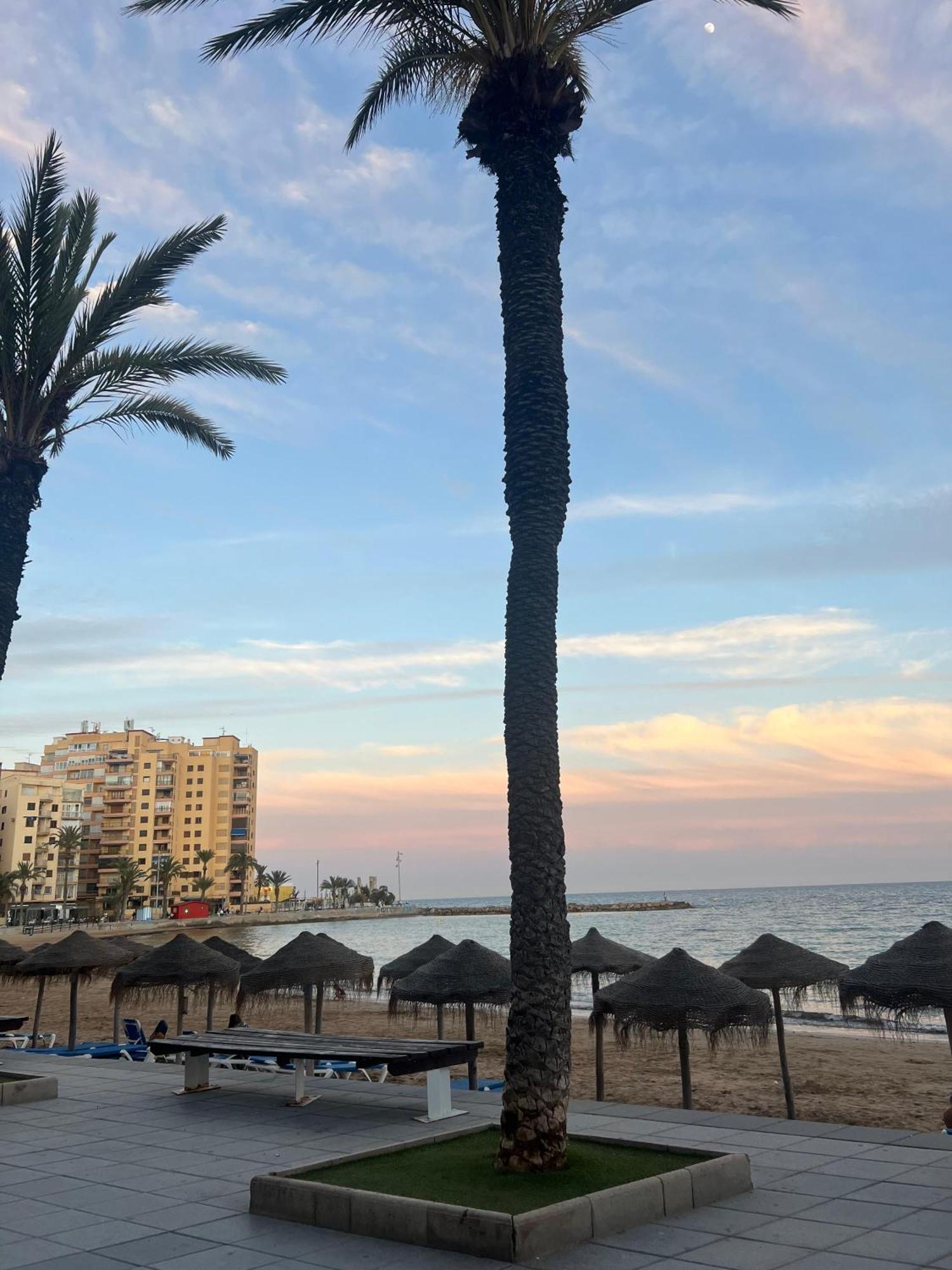 Appartement Torrevieja Alicante Exteriör bild